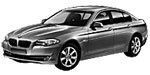 BMW F10 P080C Fault Code